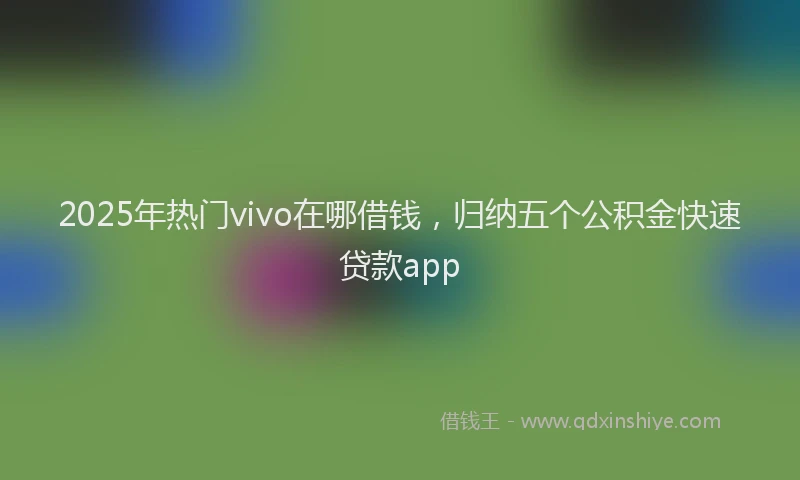 2025年热门vivo在哪借钱，归纳五个公积金快速贷款app