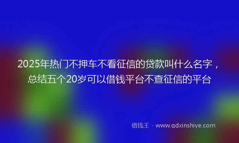 2025年热门不押车不看征信的贷款叫什么名字，总结五个20岁可以借钱平台不查征信的平台