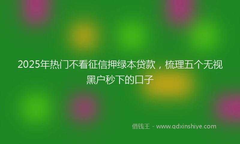 2025年热门不看征信押绿本贷款，梳理五个无视黑户秒下的口子