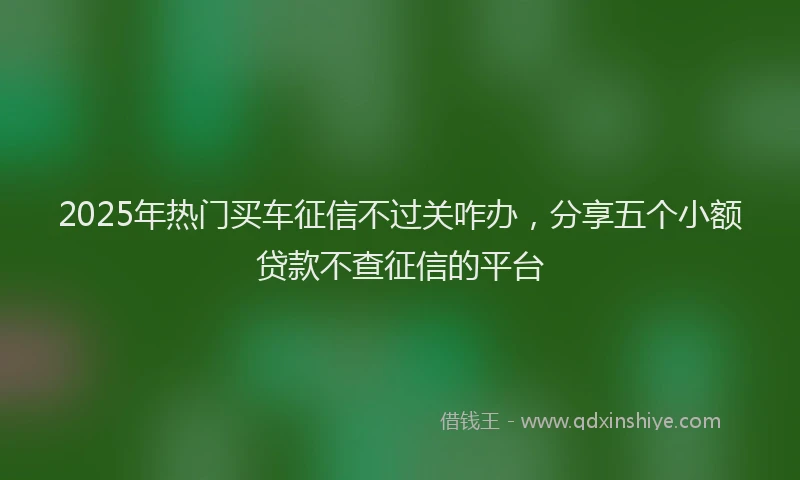 2025年热门买车征信不过关咋办，分享五个小额贷款不查征信的平台