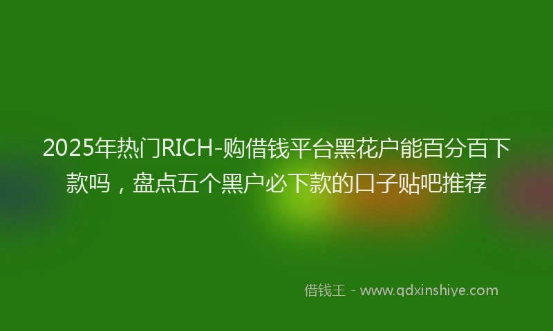 2025年热门RICH-购借钱平台黑花户能百分百下款吗，盘点五个黑户必下款的口子贴吧推荐