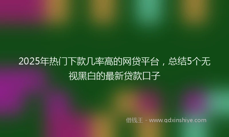 2025年热门下款几率高的网贷平台，总结5个无视黑白的最新贷款口子