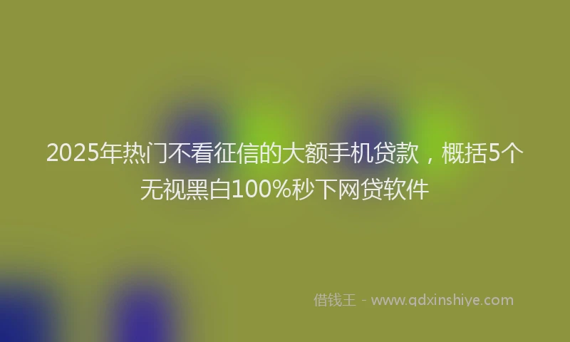2025年热门不看征信的大额手机贷款，概括5个无视黑白100%秒下网贷软件