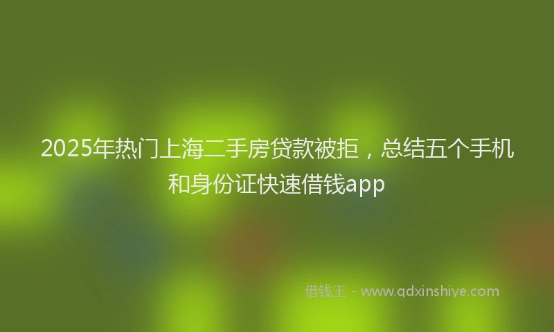 2025年热门上海二手房贷款被拒，总结五个手机和身份证快速借钱app