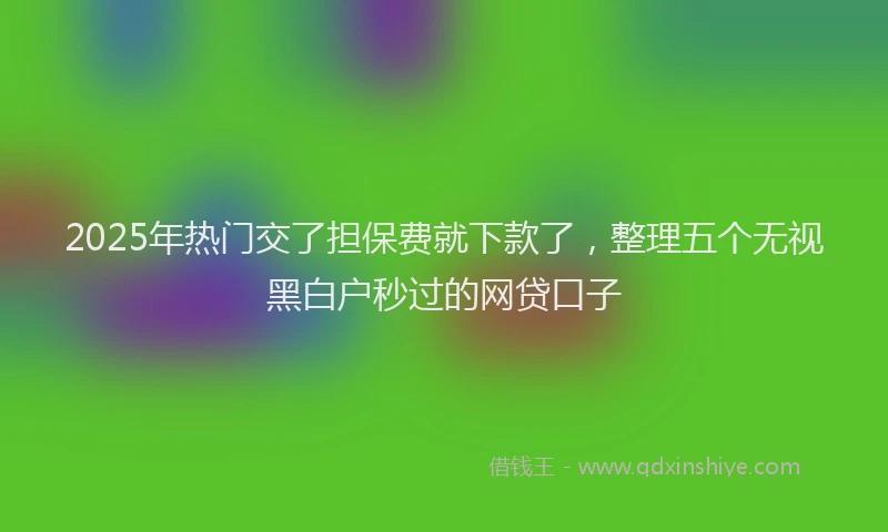 2025年热门交了担保费就下款了，整理五个无视黑白户秒过的网贷口子