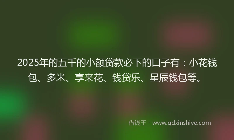 2025年的五千的小额贷款必下的口子有：小花钱包、多米、享来花、钱贷乐、星辰钱包等。