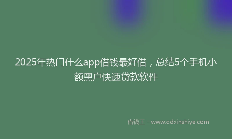 2025年热门什么app借钱最好借，总结5个手机小额黑户快速贷款软件