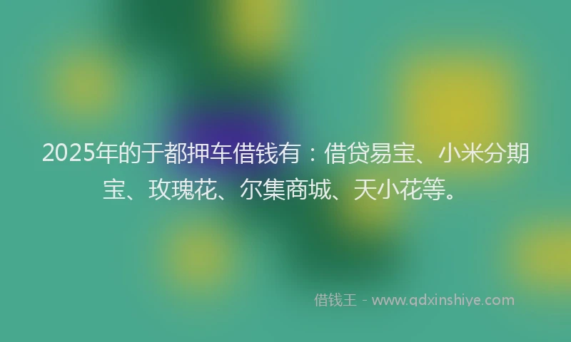 2025年的于都押车借钱有：借贷易宝、小米分期宝、玫瑰花、尔集商城、天小花等。