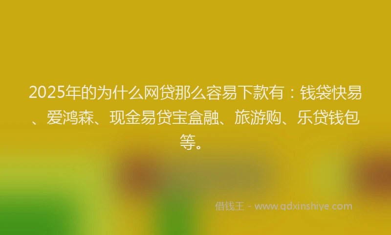 2025年的为什么网贷那么容易下款有：钱袋快易、爱鸿森、现金易贷宝盒融、旅游购、乐贷钱包等。