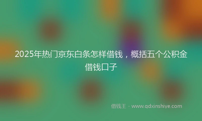 2025年热门京东白条怎样借钱，概括五个公积金借钱口子