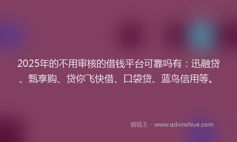 2025年的不用审核的借钱平台可靠吗有：迅融贷、甄享购、贷你飞快借、口袋贷、蓝鸟信用等。
