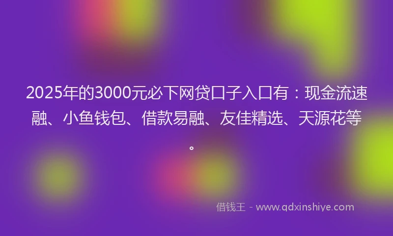2025年的3000元必下网贷口子入口有：现金流速融、小鱼钱包、借款易融、友佳精选、天源花等。