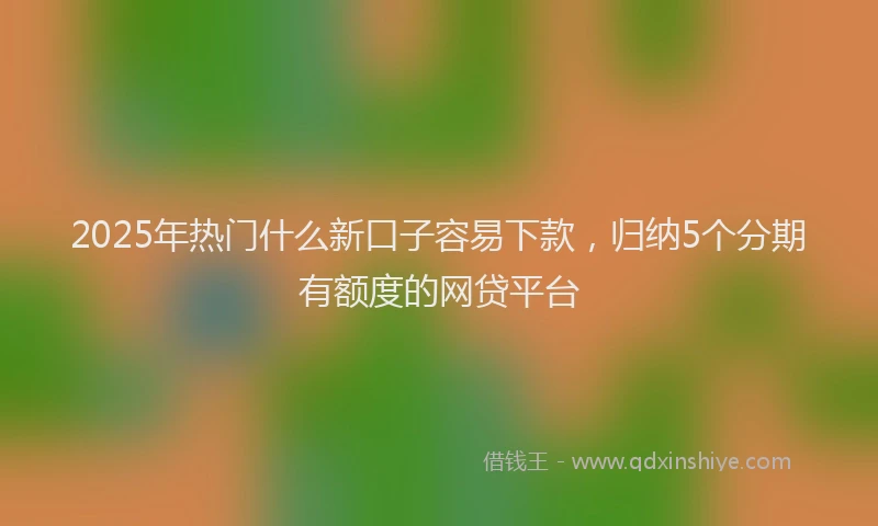 2025年热门什么新口子容易下款，归纳5个分期有额度的网贷平台