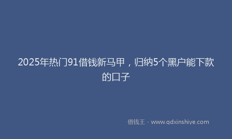 2025年热门91借钱新马甲，归纳5个黑户能下款的口子