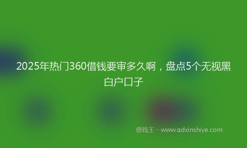 2025年热门360借钱要审多久啊，盘点5个无视黑白户口子