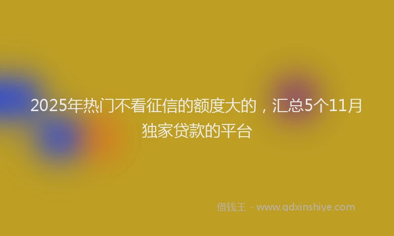2025年热门不看征信的额度大的，汇总5个11月独家贷款的平台