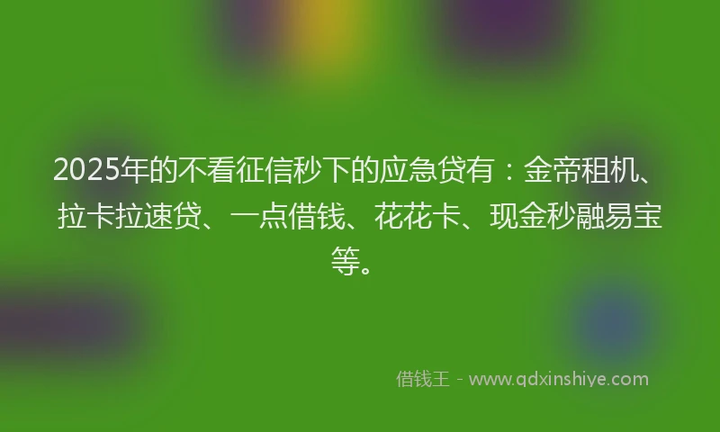 2025年的不看征信秒下的应急贷有：金帝租机、拉卡拉速贷、一点借钱、花花卡、现金秒融易宝等。