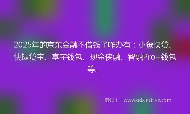 2025年的京东金融不借钱了咋办有：小象快贷、快捷贷宝、享宇钱包、现金侠融、智融Pro+钱包等。