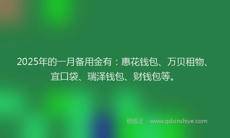 2025年的一月备用金有：惠花钱包、万贝租物、宜口袋、瑞泽钱包、财钱包等。