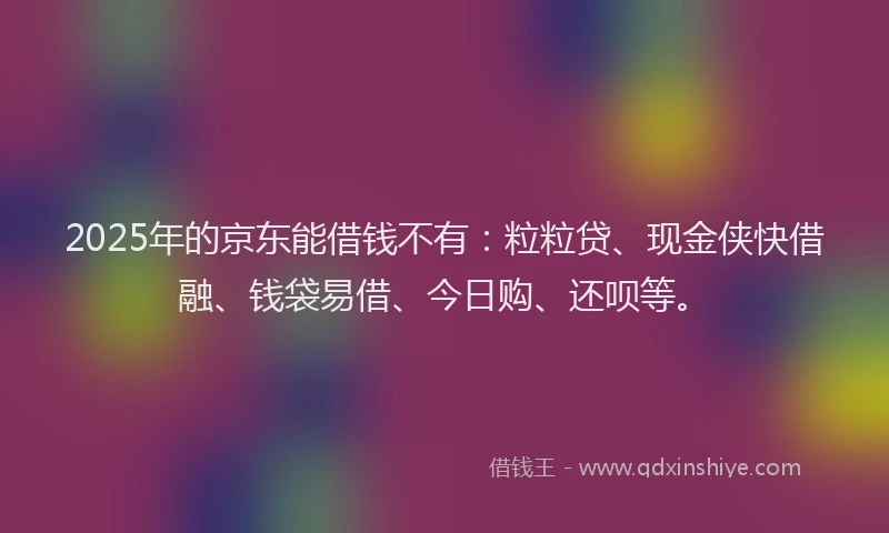 2025年的京东能借钱不有：粒粒贷、现金侠快借融、钱袋易借、今日购、还呗等。