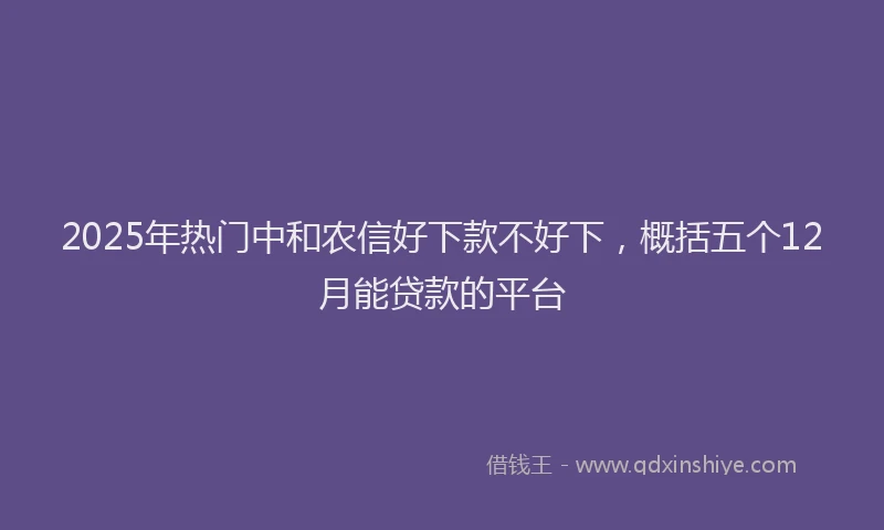 2025年热门中和农信好下款不好下，概括五个12月能贷款的平台
