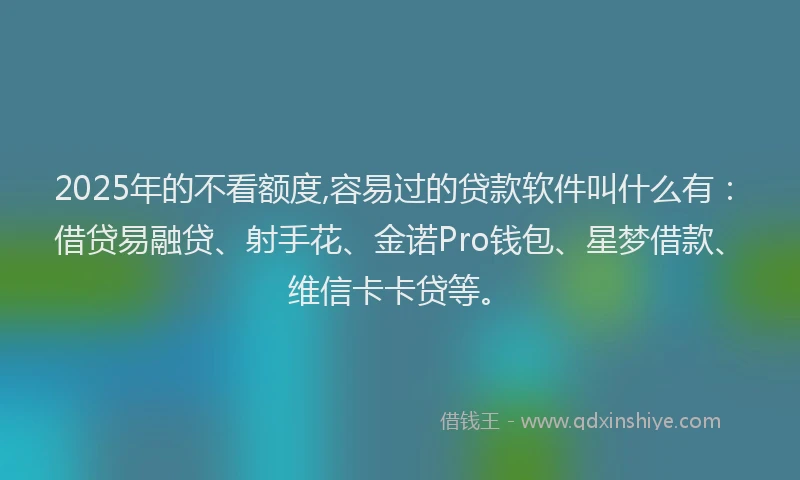 2025年的不看额度,容易过的贷款软件叫什么有：借贷易融贷、射手花、金诺Pro钱包、星梦借款、维信卡卡贷等。