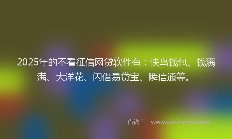 2025年的不看征信网贷软件有：快鸟钱包、钱满满、大洋花、闪借易贷宝、瞬信通等。