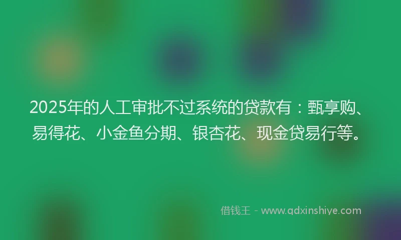2025年的人工审批不过系统的贷款有：甄享购、易得花、小金鱼分期、银杏花、现金贷易行等。
