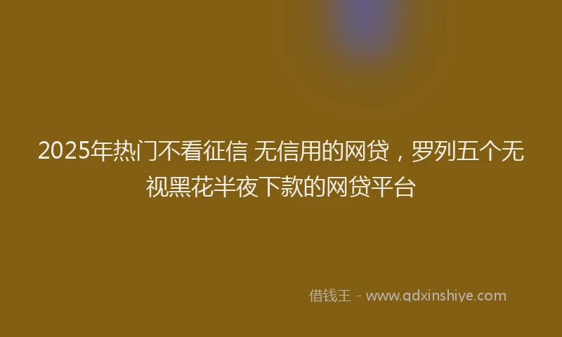 2025年热门不看征信 无信用的网贷，罗列五个无视黑花半夜下款的网贷平台