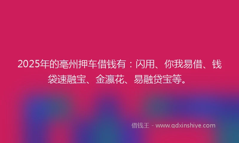 2025年的亳州押车借钱有：闪用、你我易借、钱袋速融宝、金瀛花、易融贷宝等。