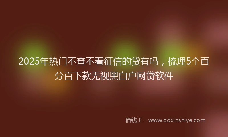2025年热门不查不看征信的贷有吗，梳理5个百分百下款无视黑白户网贷软件