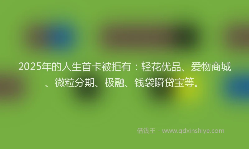 2025年的人生首卡被拒有：轻花优品、爱物商城、微粒分期、极融、钱袋瞬贷宝等。