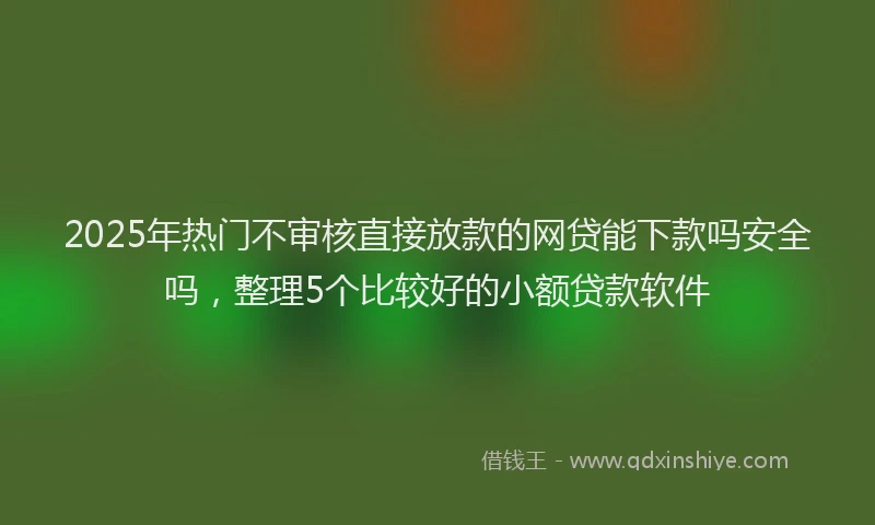 2025年热门不审核直接放款的网贷能下款吗安全吗，整理5个比较好的小额贷款软件