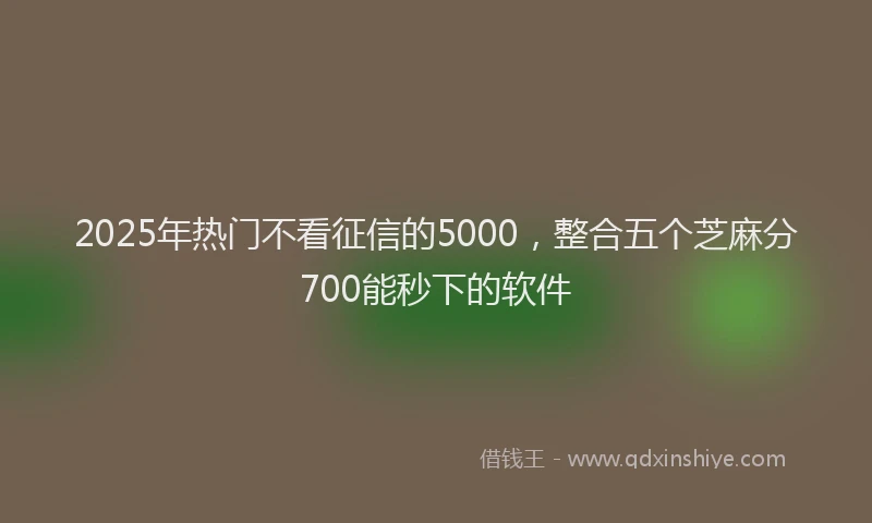 2025年热门不看征信的5000，整合五个芝麻分700能秒下的软件