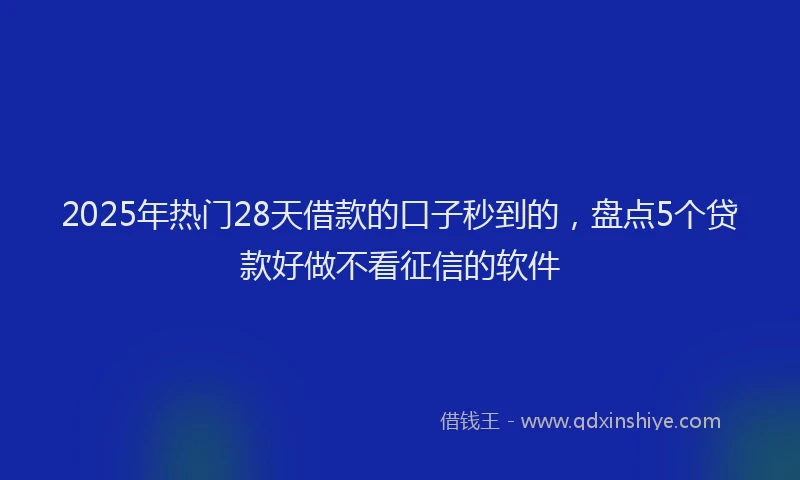 2025年热门28天借款的口子秒到的，盘点5个贷款好做不看征信的软件