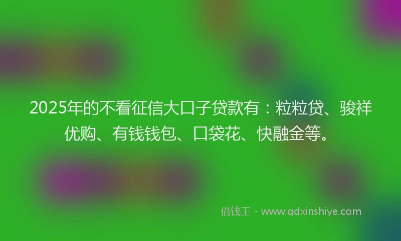 2025年的不看征信大口子贷款有：粒粒贷、骏祥优购、有钱钱包、口袋花、快融金等。