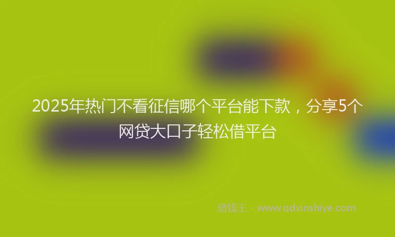 2025年热门不看征信哪个平台能下款，分享5个网贷大口子轻松借平台
