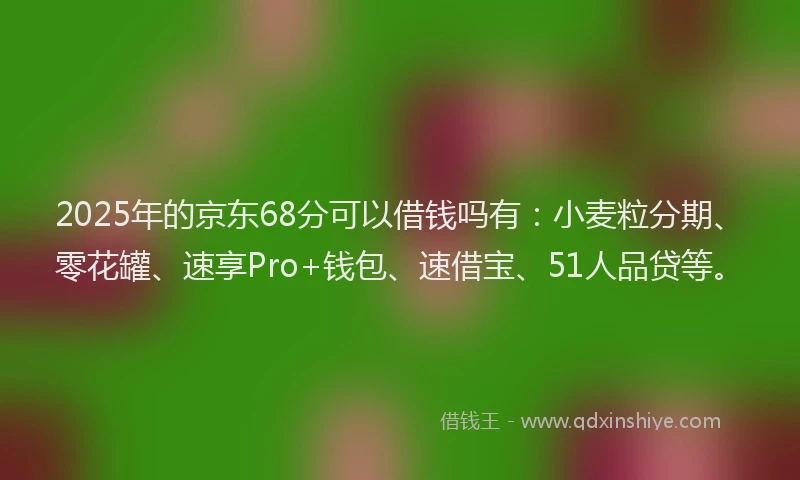 2025年的京东68分可以借钱吗有：小麦粒分期、零花罐、速享Pro+钱包、速借宝、51人品贷等。