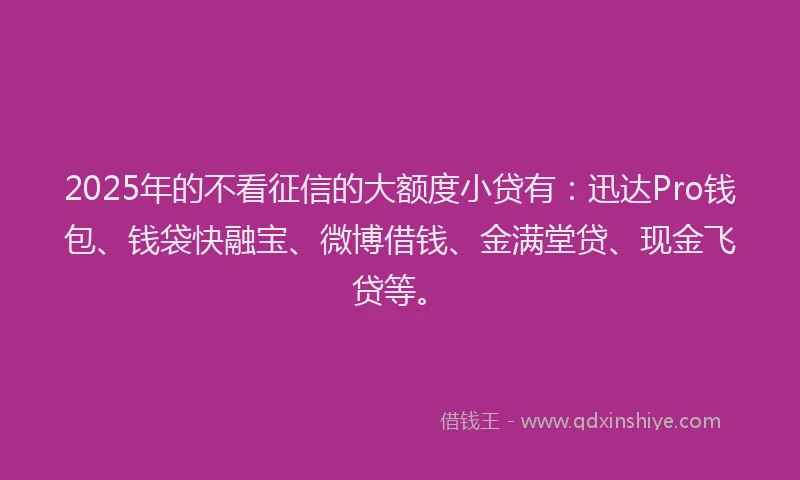 2025年的不看征信的大额度小贷有：迅达Pro钱包、钱袋快融宝、微博借钱、金满堂贷、现金飞贷等。