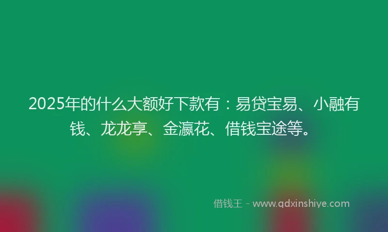 2025年的什么大额好下款有：易贷宝易、小融有钱、龙龙享、金瀛花、借钱宝途等。