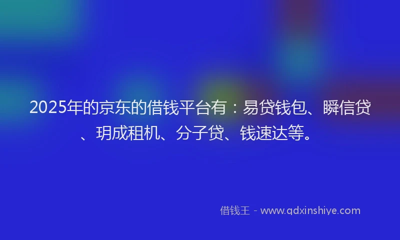 2025年的京东的借钱平台有：易贷钱包、瞬信贷、玥成租机、分子贷、钱速达等。