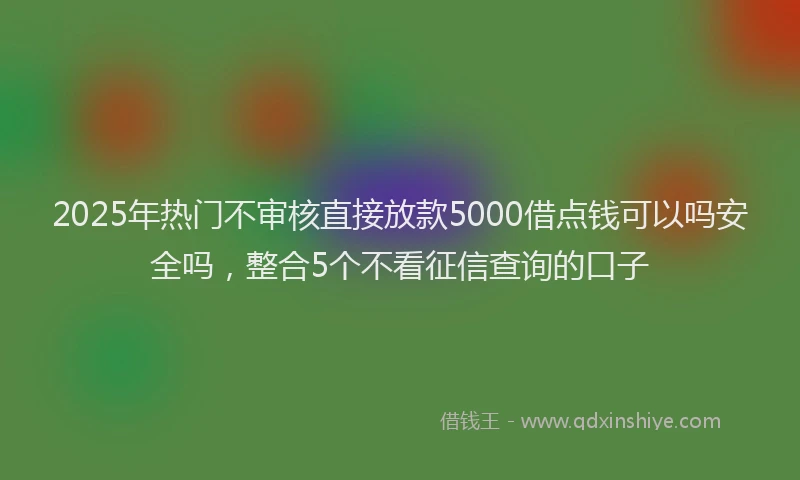 2025年热门不审核直接放款5000借点钱可以吗安全吗，整合5个不看征信查询的口子