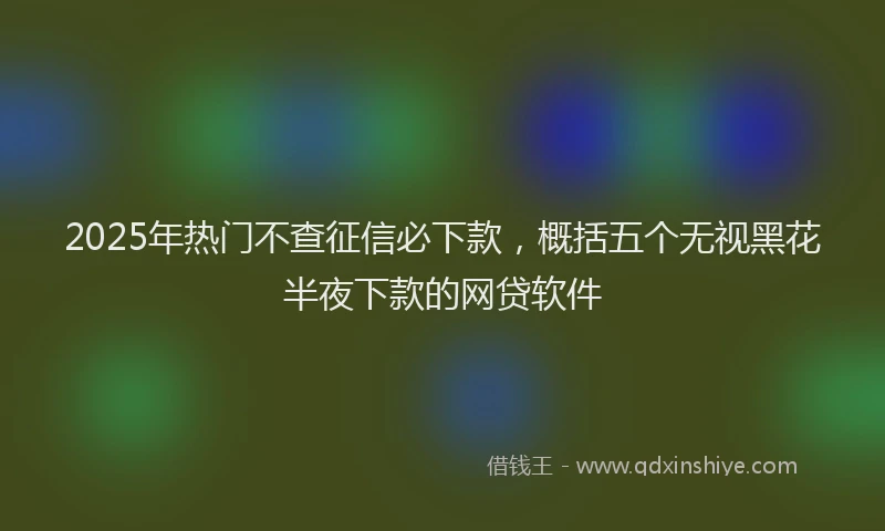 2025年热门不查征信必下款，概括五个无视黑花半夜下款的网贷软件