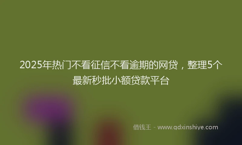 2025年热门不看征信不看逾期的网贷，整理5个最新秒批小额贷款平台