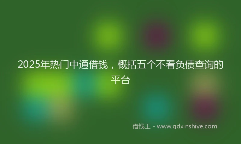 2025年热门中通借钱，概括五个不看负债查询的平台