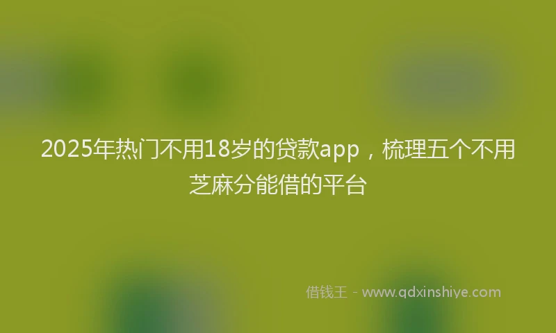2025年热门不用18岁的贷款app，梳理五个不用芝麻分能借的平台