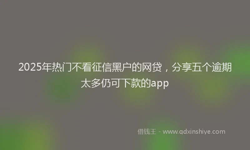 2025年热门不看征信黑户的网贷，分享五个逾期太多仍可下款的app