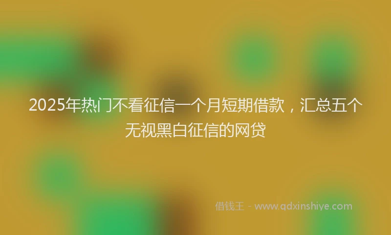 2025年热门不看征信一个月短期借款，汇总五个无视黑白征信的网贷