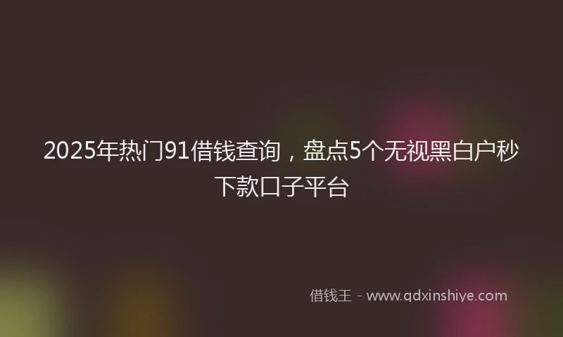 2025年热门91借钱查询，盘点5个无视黑白户秒下款口子平台