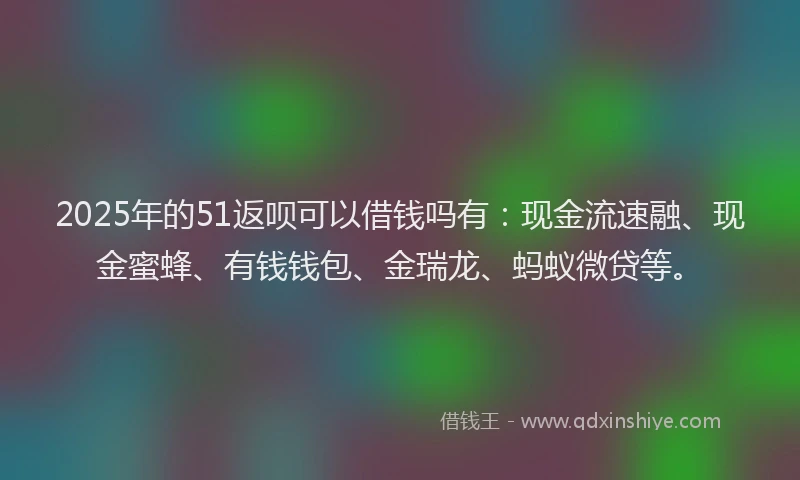 2025年的51返呗可以借钱吗有：现金流速融、现金蜜蜂、有钱钱包、金瑞龙、蚂蚁微贷等。